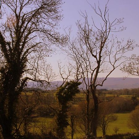 Woodview House Bed And Breakfast Ballinrobe Eksteriør billede