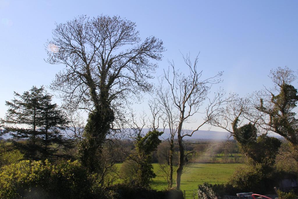 Woodview House Bed And Breakfast Ballinrobe Eksteriør billede