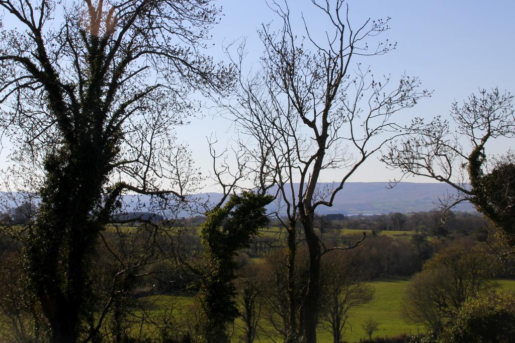 Woodview House Bed And Breakfast Ballinrobe Værelse billede